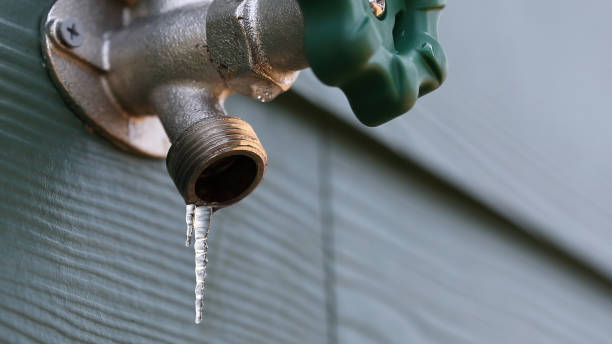 Best Sewer Line Repair  in Glencoe, MN